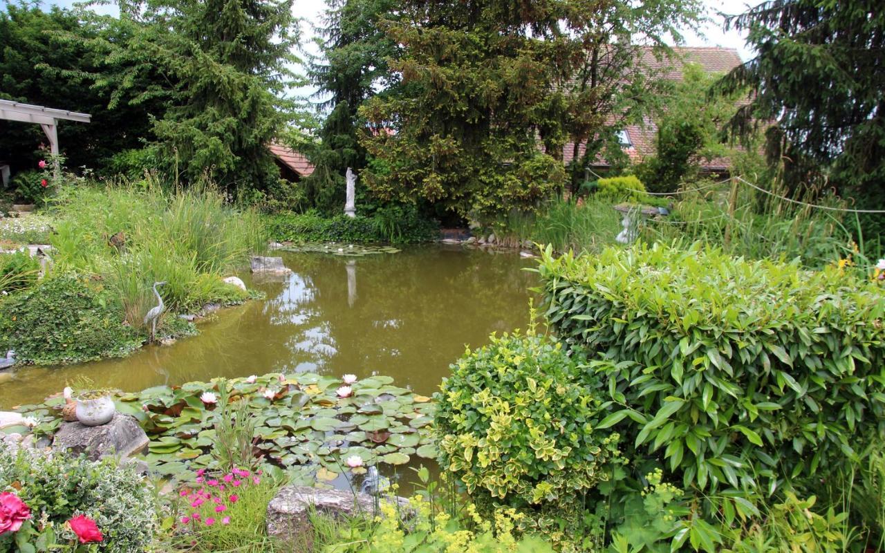 Zimmer Paradiso Busingen am Hochrhein Exterior photo